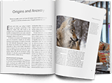 serene_lead_generation_book_small